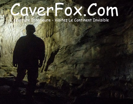 CaverFox