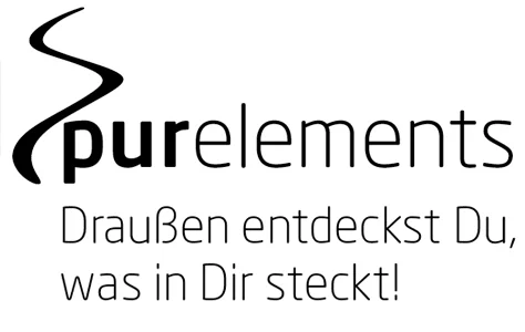 Purelements