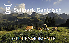 Seilpark Gantrisch