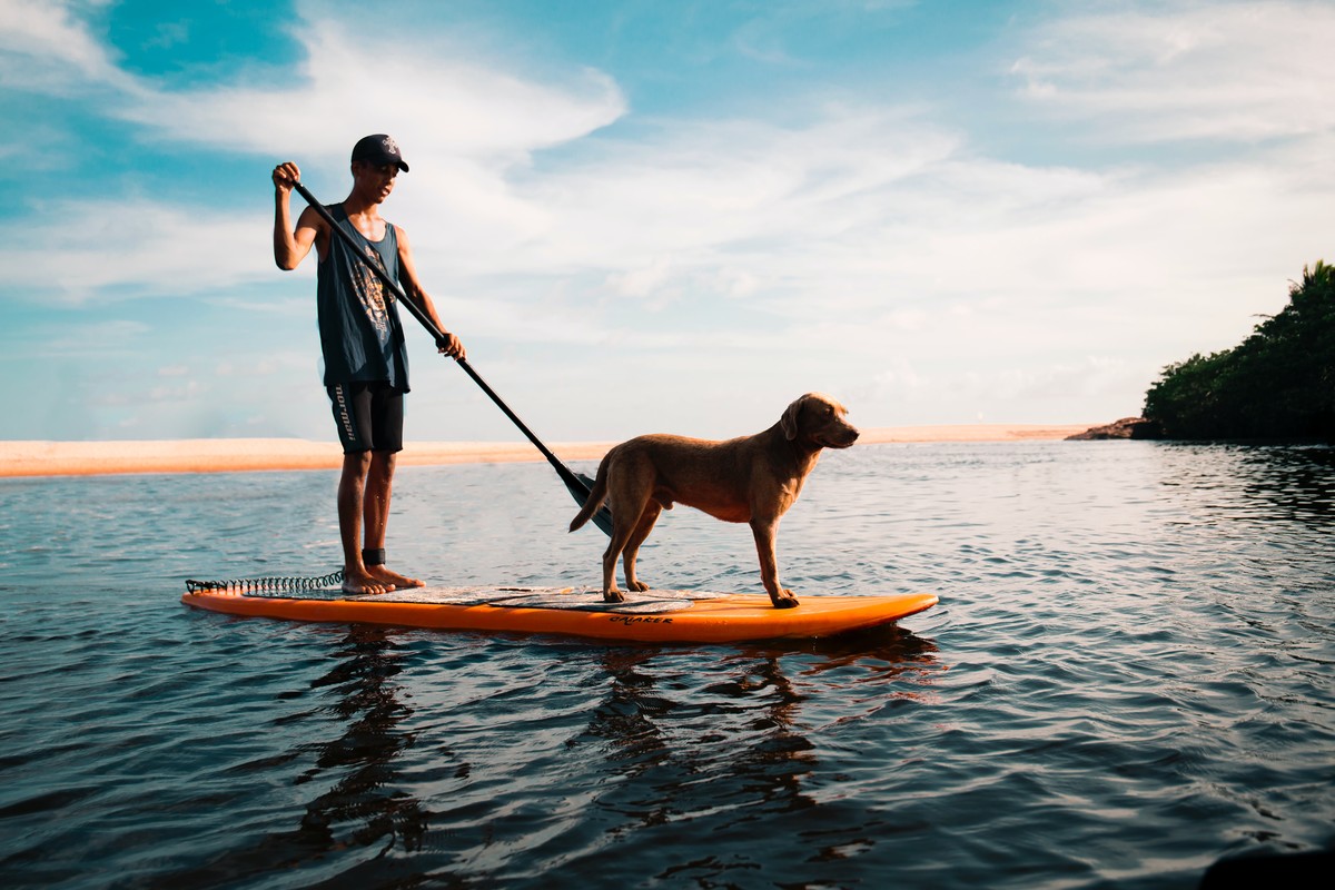 SUP with dog - Marco Lopez