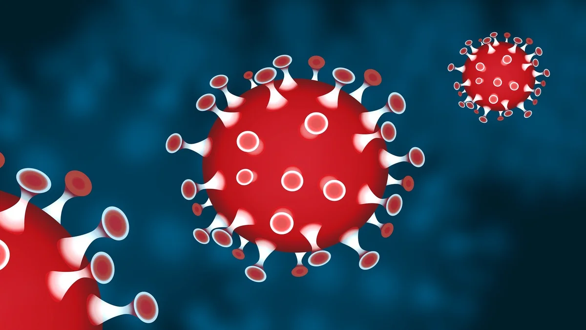 Corona Virus