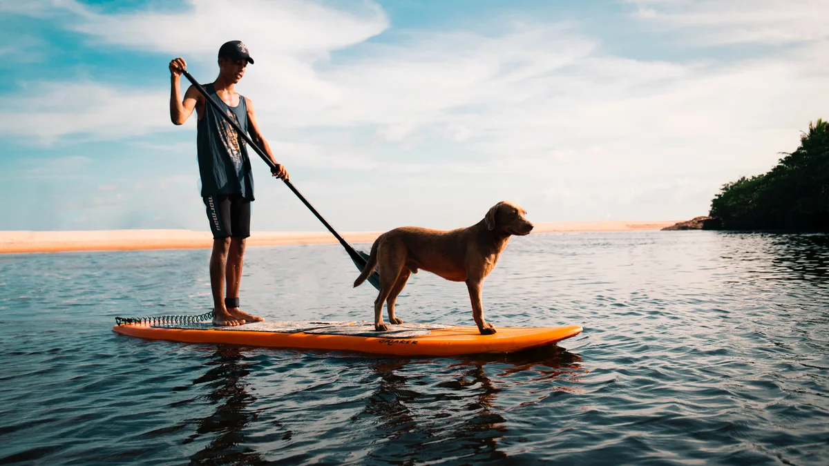 SUP with dog - Marco Lopez